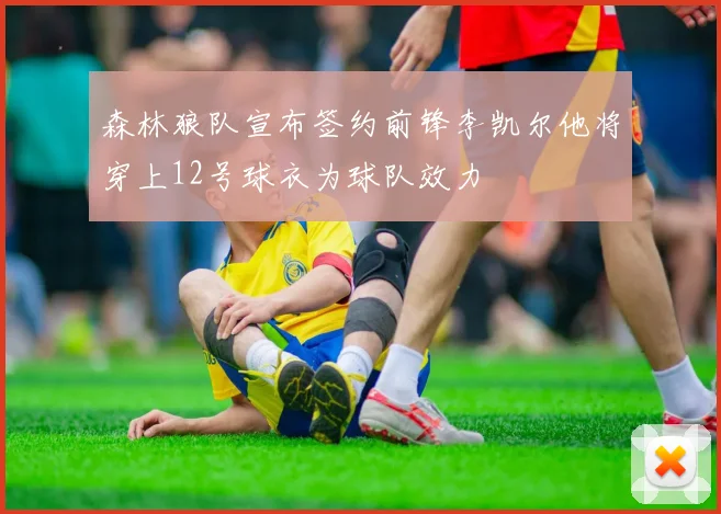 森林狼队宣布签约前锋李凯尔他将穿上12号球衣为球队效力
