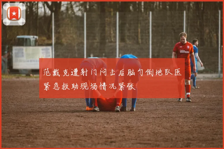范戴克遭射门闷击后脑勺倒地队医紧急救助现场情况紧张