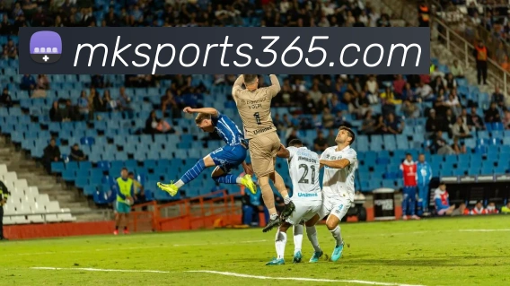 App Interface Preview