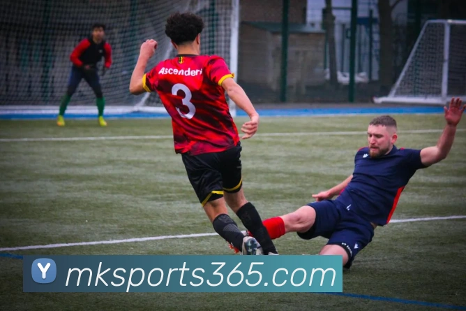 mk体育APP 封面图